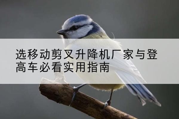 岑溪电动升降机厂家-选移动剪叉升降机厂家与登高车必看实用指南