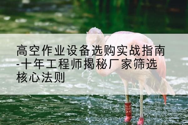岑溪剪叉式升降机厂家-高空作业设备选购实战指南-十年工程师揭秘厂家筛选核心法则