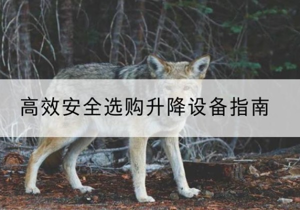 岑溪升降货梯厂家推荐-*安全选购升降设备指南