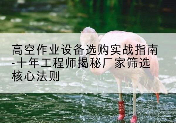 岑溪剪叉式升降机厂家-高空作业设备选购实战指南-十年工程师揭秘厂家筛选核心法则
